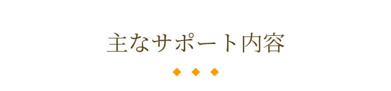 主なサポート内容